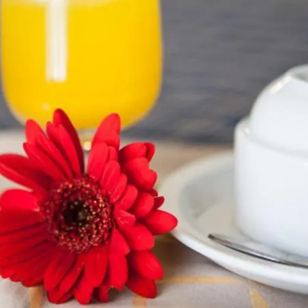 Auto Park Hotel Firenze